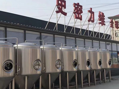 和布克赛尔精酿啤酒设备厂—如何判断精酿啤酒设备的密封件需要更换？